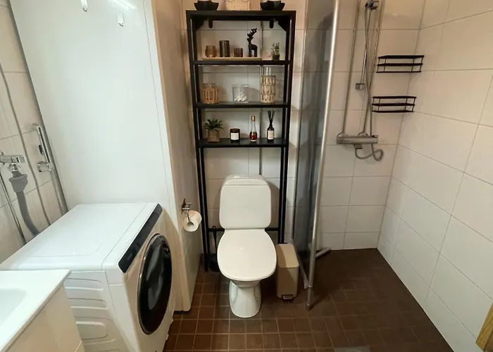 Muru Lomamökit Levi